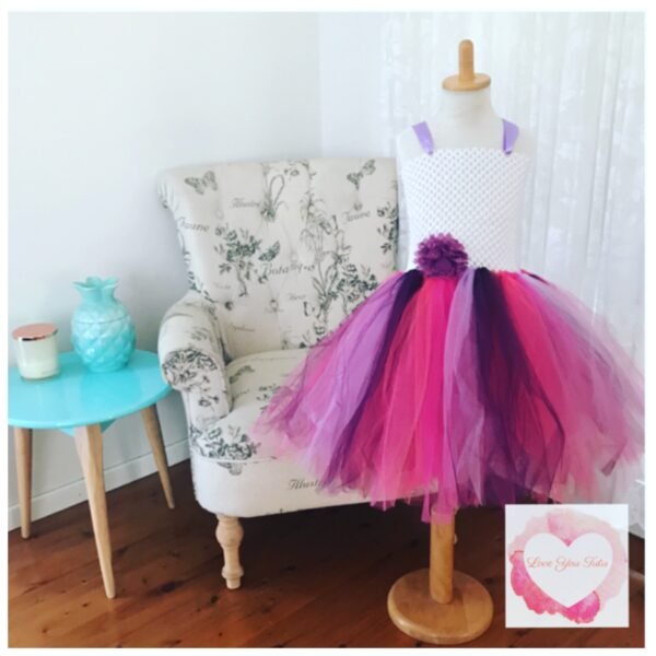 Colourful plum tutu dress