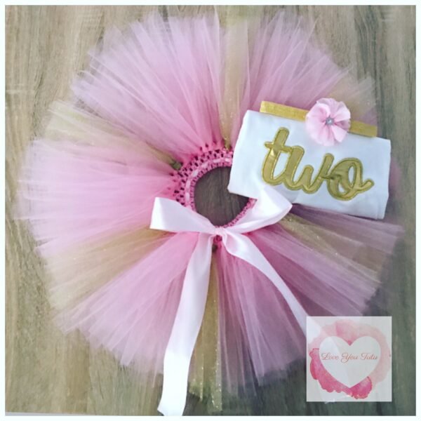 Embroidered Two glitter tutu set