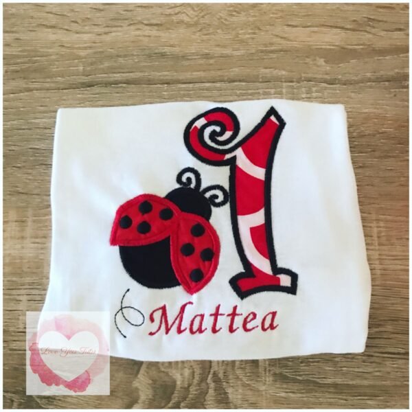Embroidered ladybug design