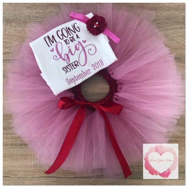 Embroidered Big sister announcement tutu set